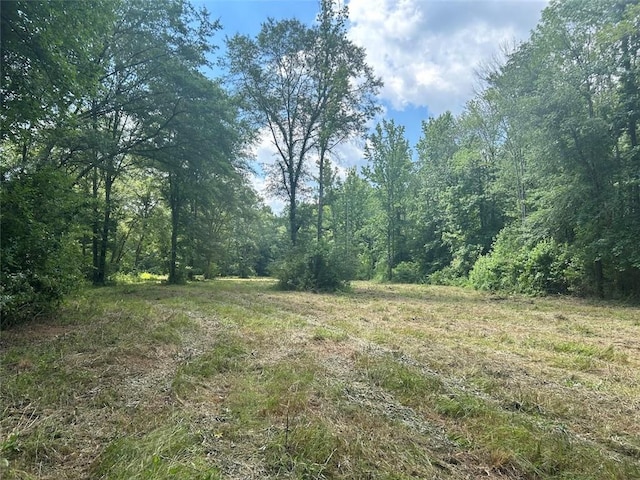 149 River Cv, Carrollton, GA 30117