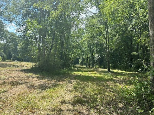 149 River Cv, Carrollton, GA 30117