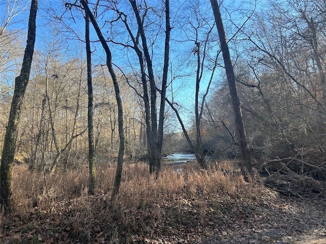 149 River Cv, Carrollton, GA 30117