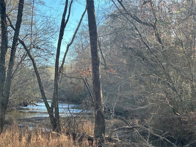 149 River Cv, Carrollton, GA 30117