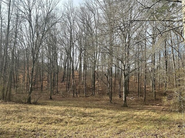 149 River Cv, Carrollton, GA 30117