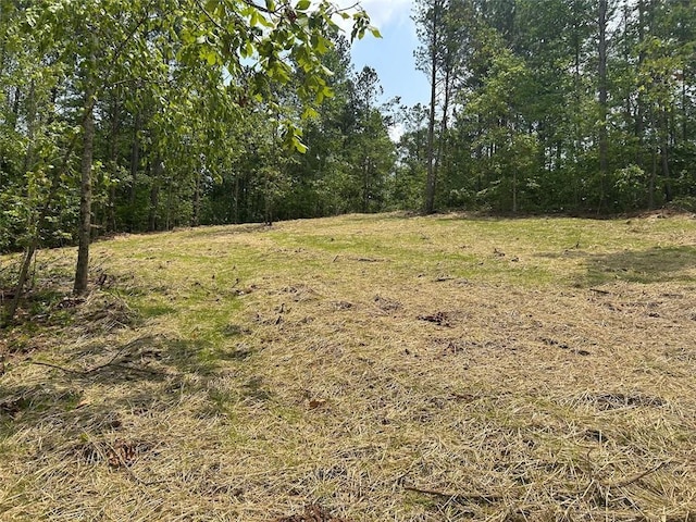 149 River Cv, Carrollton, GA 30117
