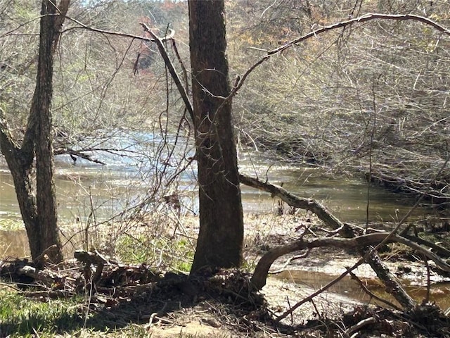 149 River Cv, Carrollton, GA 30117