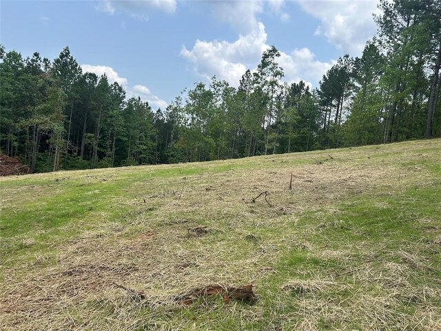 149 River Cv, Carrollton, GA 30117