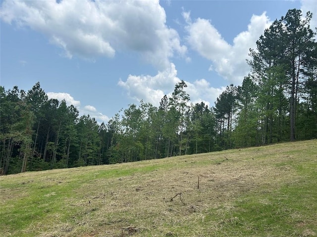 149 River Cv, Carrollton, GA 30117