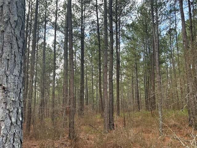 149 River Cv, Carrollton, GA 30117