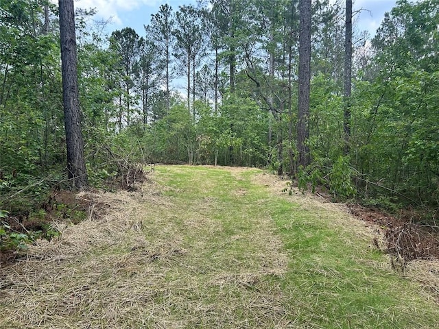 149 River Cv, Carrollton, GA 30117