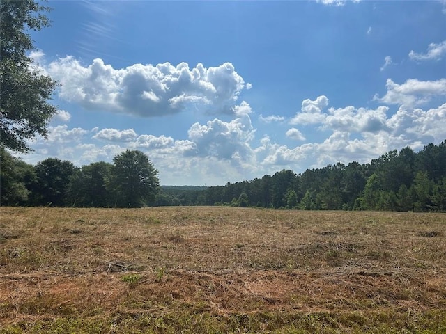 149 River Cv, Carrollton, GA 30117