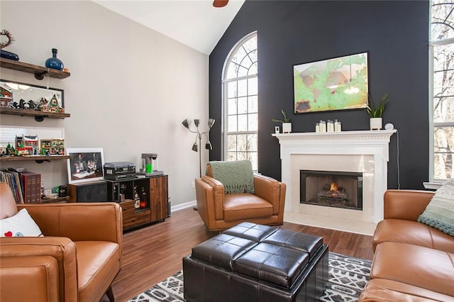 living room with a fireplace, vaulted ceiling, and wood-type flooring