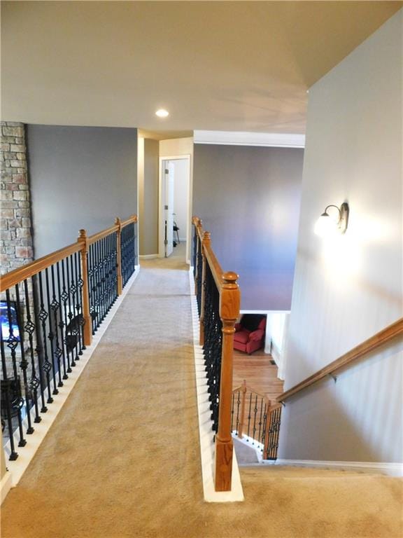 hall featuring carpet and crown molding