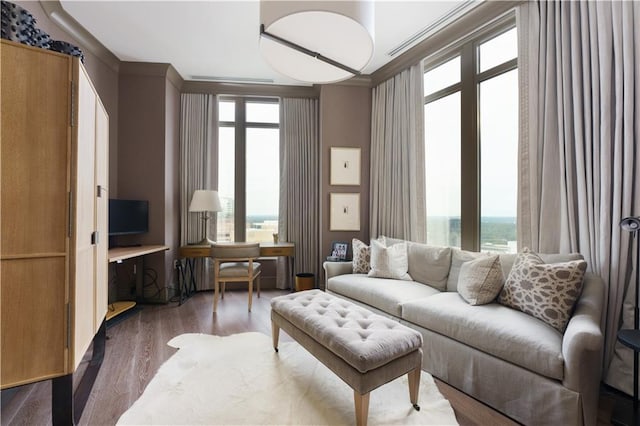 living room featuring plenty of natural light and dark wood-type flooring