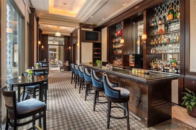 bar featuring a raised ceiling, light colored carpet, dark brown cabinetry, and decorative light fixtures