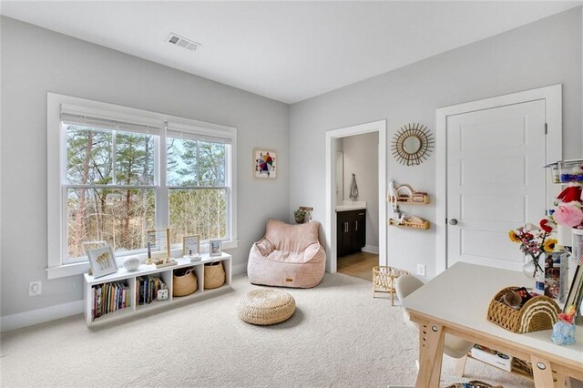 2304 Isla Run, Woodstock, GA 30188 - sitting room with carpet floors and baseboards