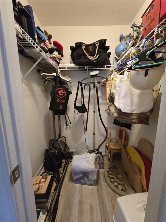 walk in closet with hardwood / wood-style flooring