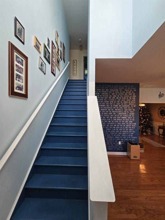 stairway with hardwood / wood-style floors