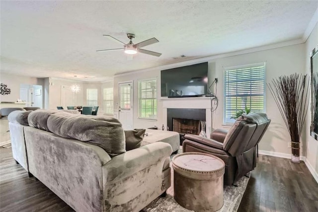 living room featuring crown molding, a healthy amount of sunlight, a textured ceiling, and dark hardwood / wood-style floors