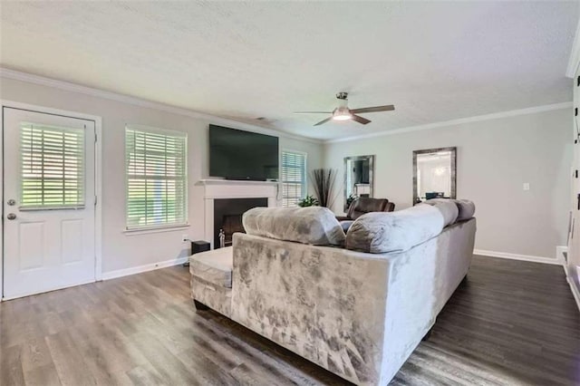 living room with ornamental molding, dark hardwood / wood-style floors, and ceiling fan