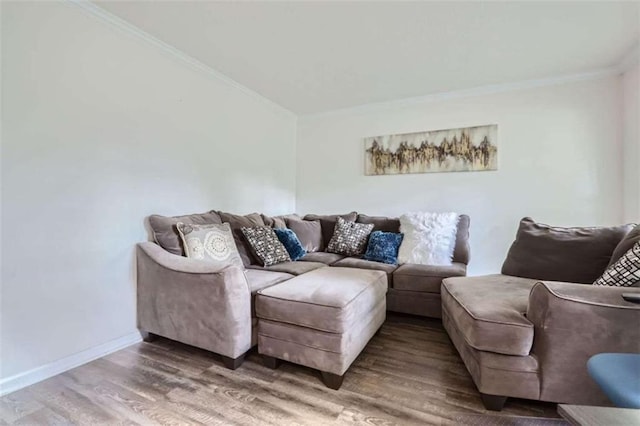 living room with crown molding and wood-type flooring