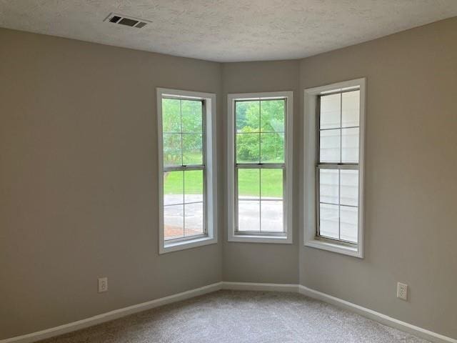 carpeted empty room with a textured ceiling and a wealth of natural light