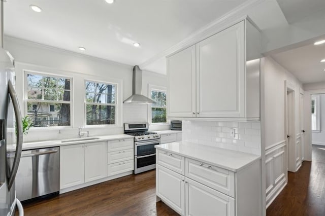 kitchen featuring wall chimney exhaust hood, stainless steel appliances, dark wood-type flooring, and a sink
