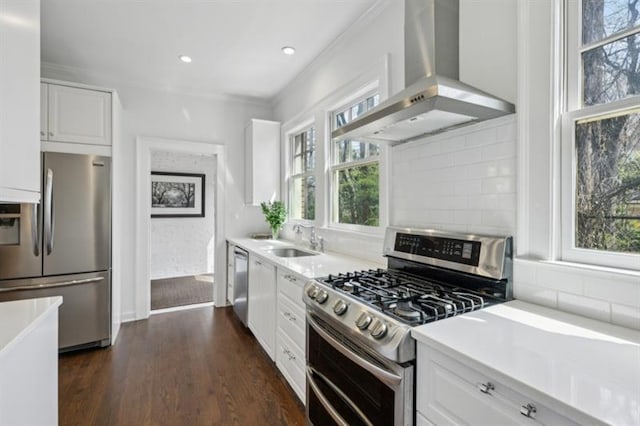 kitchen featuring tasteful backsplash, a sink, stainless steel appliances, wall chimney exhaust hood, and white cabinetry