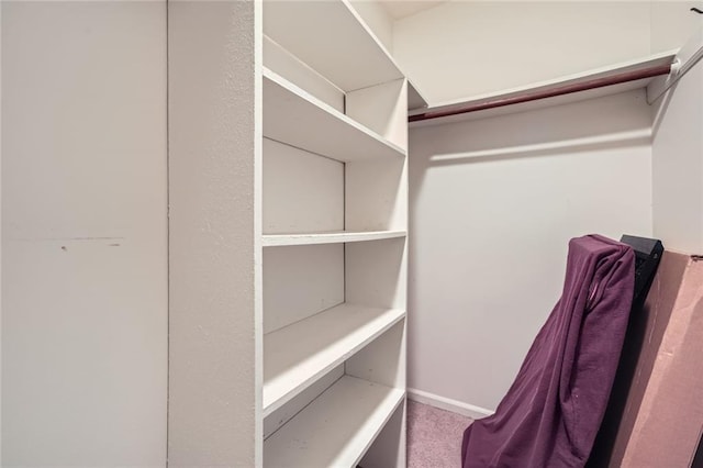 3592 Midvale Cv, Tucker, GA 30084 - walk in closet with carpet flooring