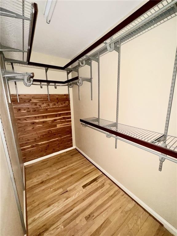 spacious closet featuring hardwood / wood-style floors