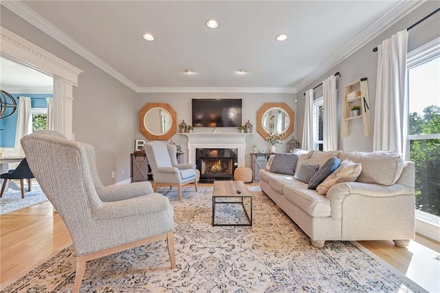 living room with light wood-type flooring and crown molding