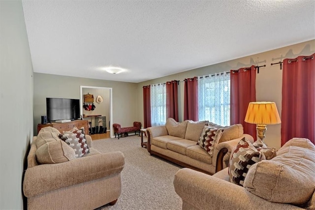 living room featuring carpet floors and a textured ceiling