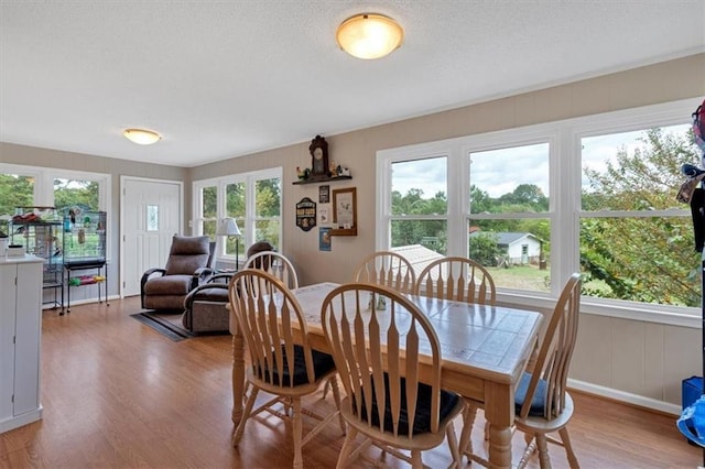 dining area with plenty of natural light, light hardwood / wood-style floors, and a textured ceiling