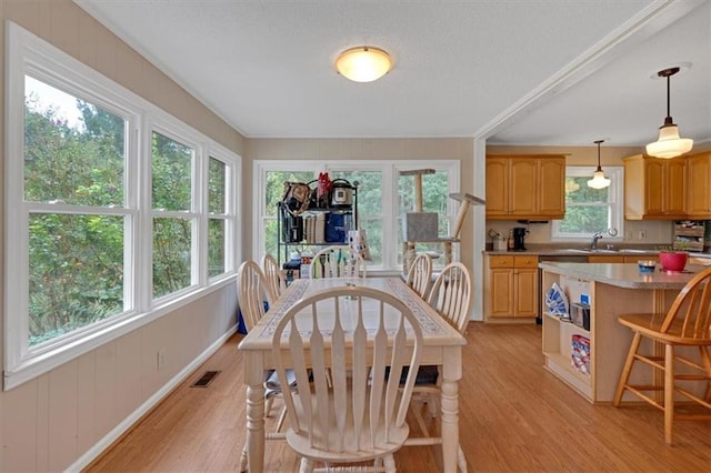 dining space featuring sink and light hardwood / wood-style floors