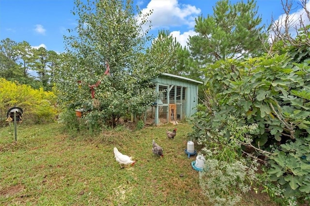 view of yard featuring an outbuilding