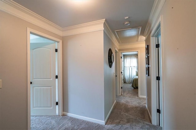2103 Sourwood Ct, Monroe, GA 30656 - hall with attic access, carpet, and crown molding
