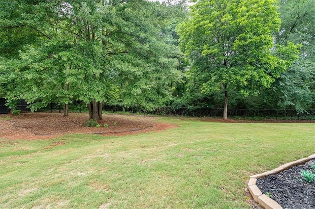 2103 Sourwood Ct, Monroe, GA 30656 - view of yard