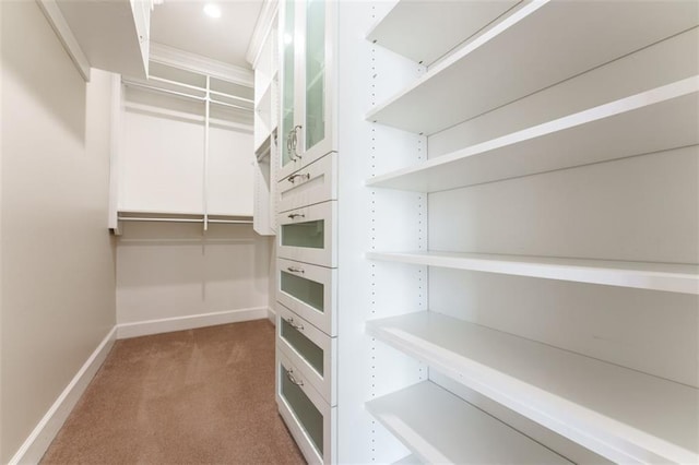 spacious closet featuring carpet flooring