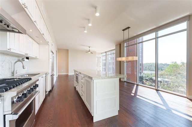 kitchen featuring dark wood-style flooring, tasteful backsplash, a sink, premium appliances, and extractor fan