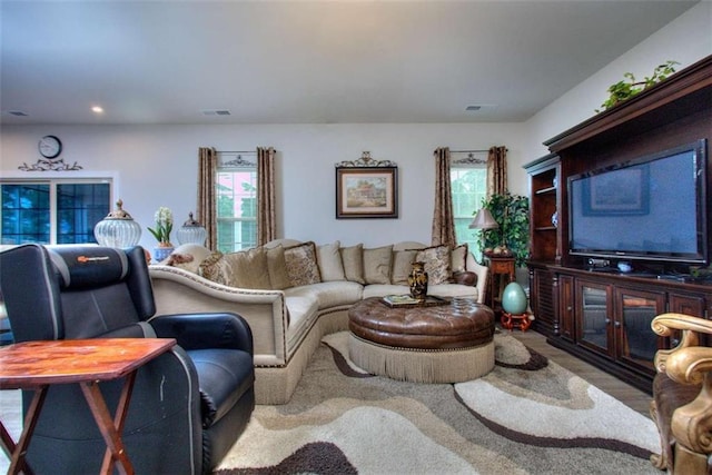 living room featuring plenty of natural light and wood-type flooring