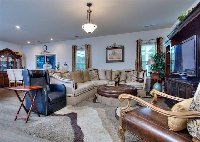 living room with a healthy amount of sunlight and light wood-type flooring