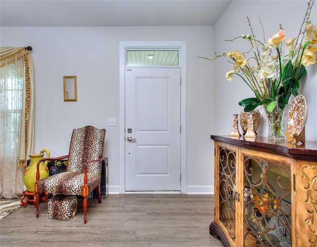 entrance foyer with light hardwood / wood-style flooring