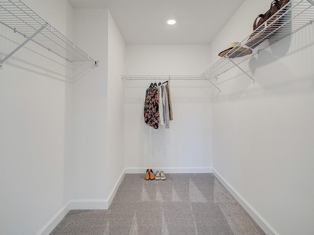 walk in closet with carpet flooring