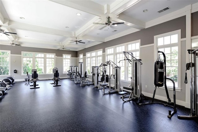 exercise room featuring plenty of natural light and coffered ceiling