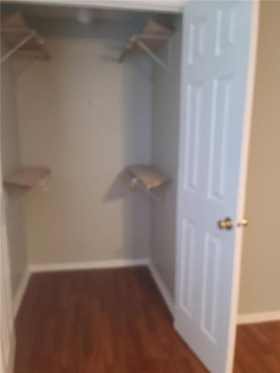 spacious closet featuring dark hardwood / wood-style flooring