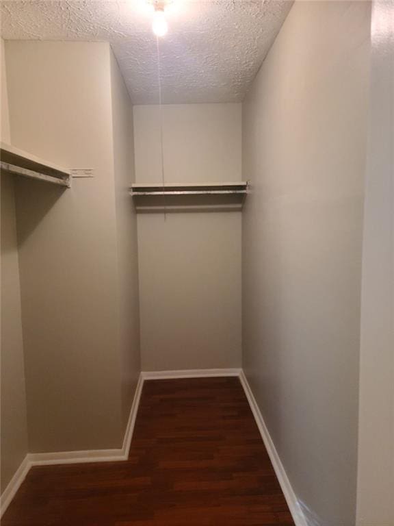 walk in closet with dark hardwood / wood-style floors