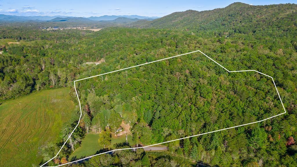 867 Haygood Rd, Mineral Bluff, GA 30559 - bird's eye view featuring a mountain view