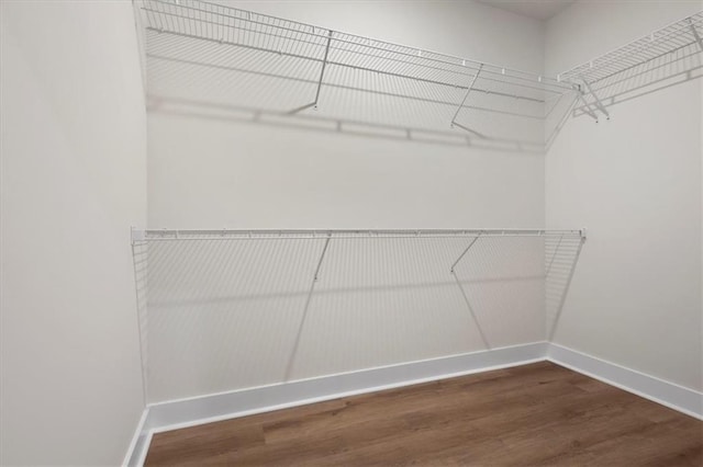 spacious closet with wood finished floors