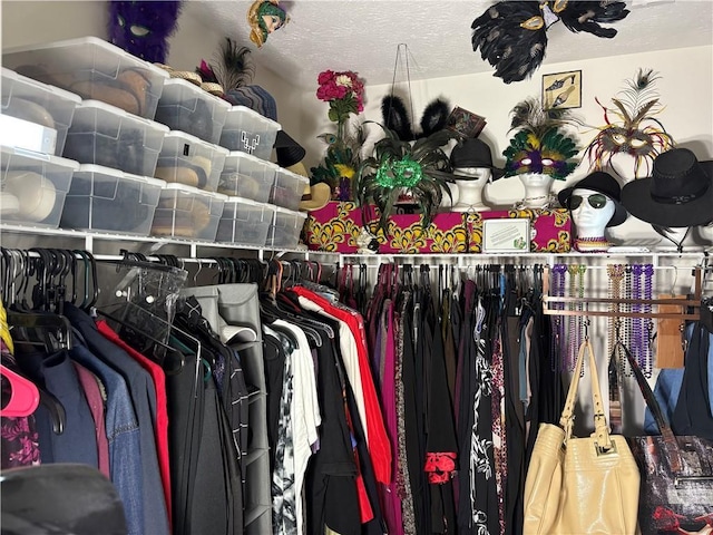 3505 Saddle Creek Ln, Ellenwood, GA 30294 - view of walk in closet
