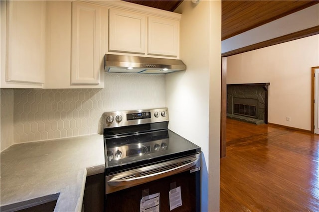 596 Riverview Dr, Ellijay, GA 30540 - kitchen featuring stainless steel electric stove, under cabinet range hood, dark wood-type flooring, a stone fireplace, and backsplash