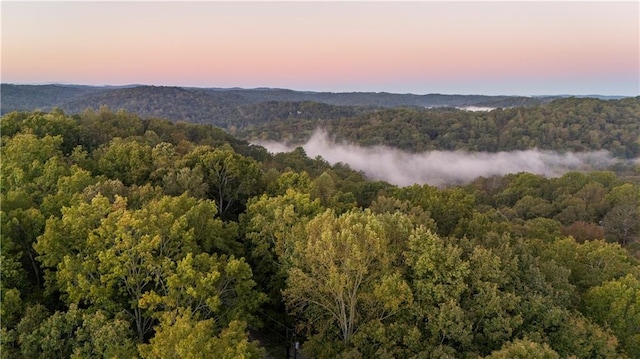 view of aerial view at dusk