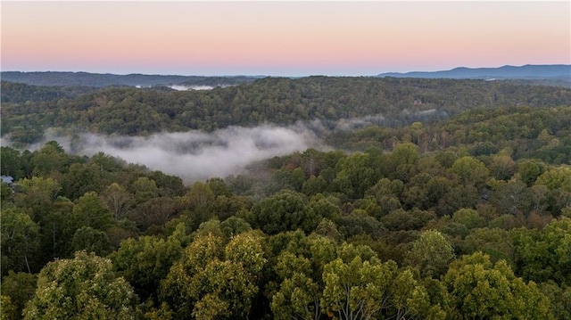 aerial view at dusk with a mountain view