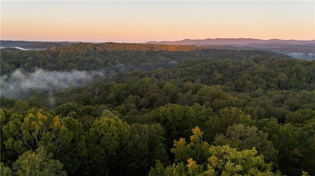 view of mountain feature